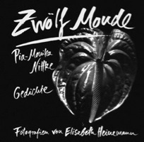 zw00f6lf-monde-cover